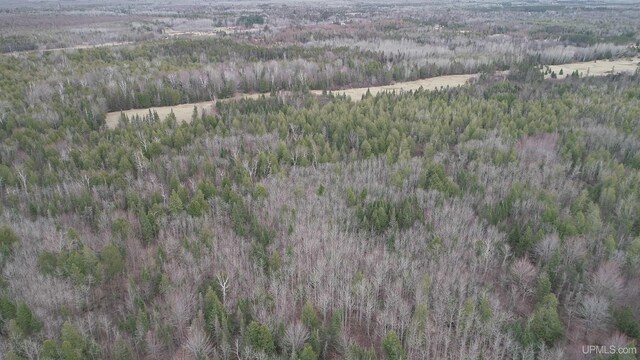 40ACRES Trombley 35th Rd, Rock, MI 49880