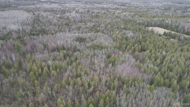 40ACRES Trombley 35th Rd, Rock, MI 49880