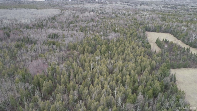40ACRES Trombley 35th Rd, Rock, MI 49880