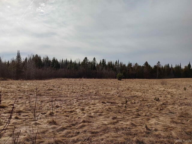 40ACRES Trombley 35th Rd, Rock, MI 49880