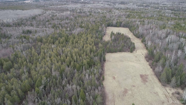 40ACRES Trombley 35th Rd, Rock, MI 49880