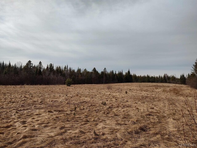 40ACRES Trombley 35th Rd, Rock, MI 49880