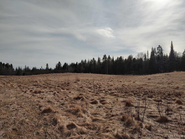 40ACRES Trombley 35th Rd, Rock, MI 49880
