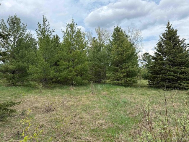 TBDNS20 S Baltimore Rd, Bruce Crossing, MI 49912