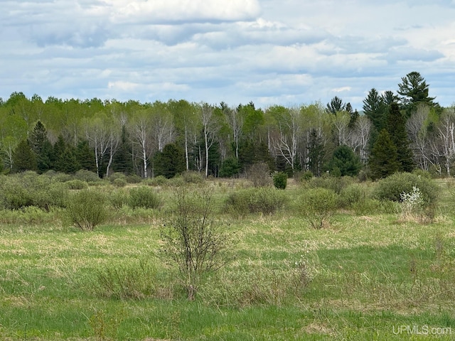 TBDNS20 S Baltimore Rd, Bruce Crossing, MI 49912