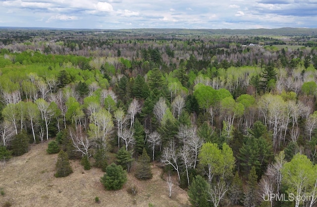 TBDNS20 S Baltimore Rd, Bruce Crossing, MI 49912