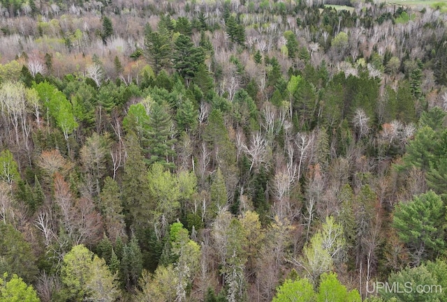 TBDNS20 S Baltimore Rd, Bruce Crossing, MI 49912