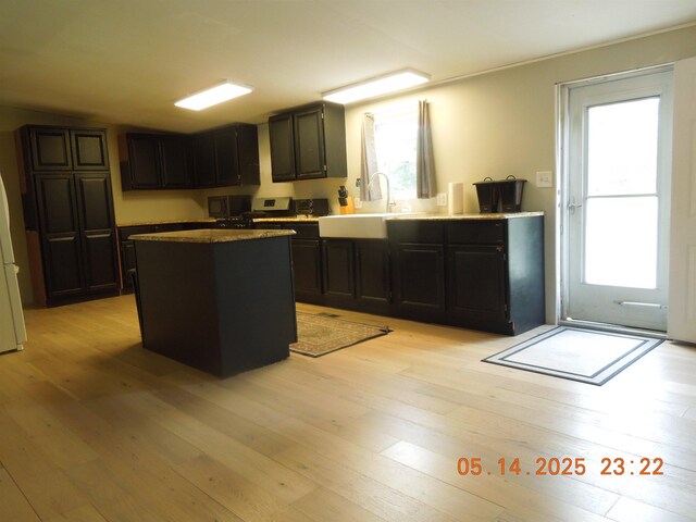 1582 Oakwood St, Gladwin, MI 48624 - kitchen with light wood-style flooring, a sink, plenty of natural light, and a center island