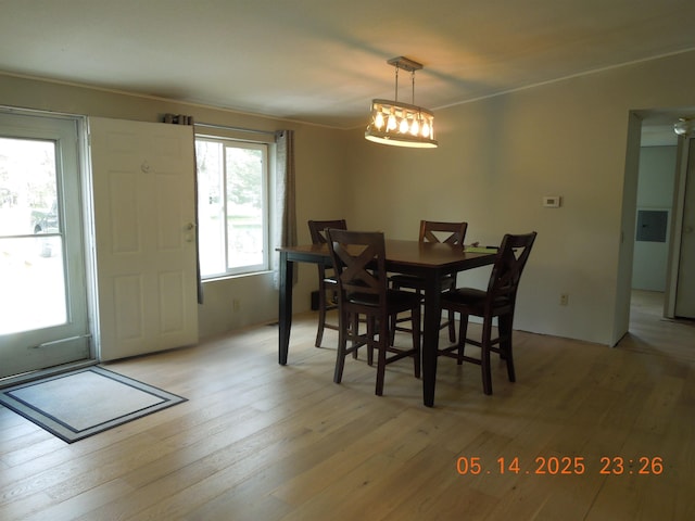 1582 Oakwood St, Gladwin, MI 48624 - dining space with light wood-style flooring and ornamental molding