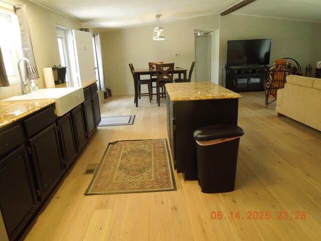 1582 Oakwood St, Gladwin, MI 48624 - kitchen featuring a sink, light wood-style flooring, a kitchen island, hanging light fixtures, and dark cabinets