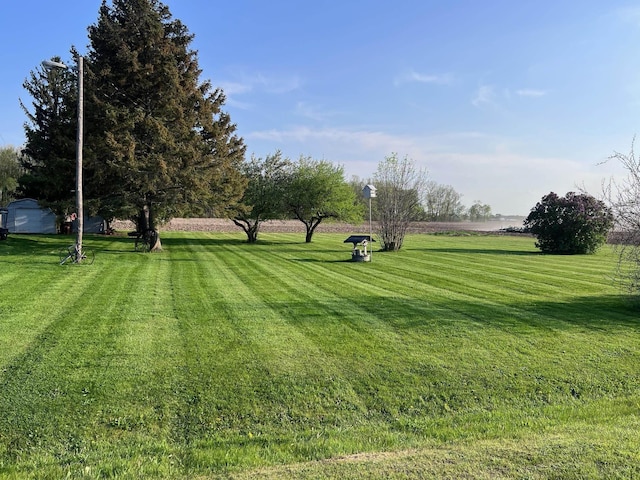 view of green lawn