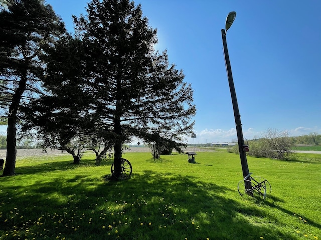 view of home's community featuring a lawn