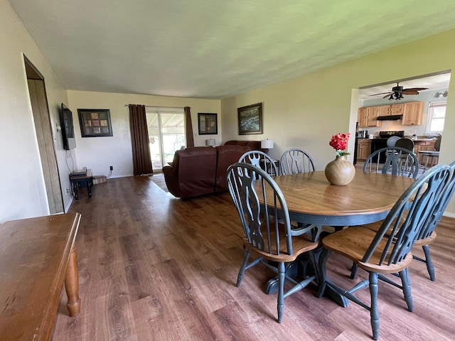 dining room with wood finished floors and plenty of natural light