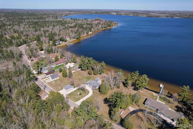 536 N W Gulliver Lake Rd, Gulliver, MI 49840 - aerial overview of property's location featuring a nearby body of water and a heavily wooded area