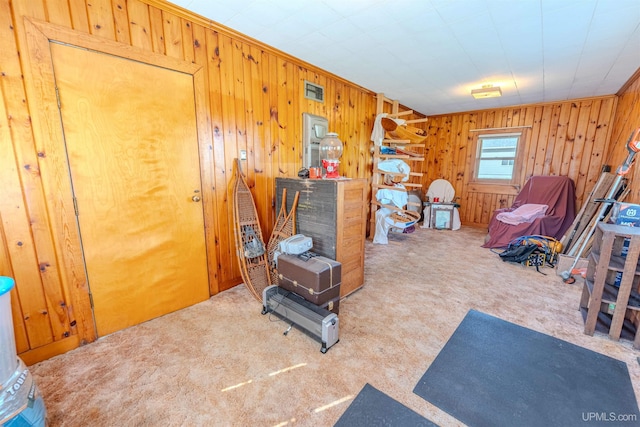 536 N W Gulliver Lake Rd, Gulliver, MI 49840 - workout room with carpet floors and wood walls
