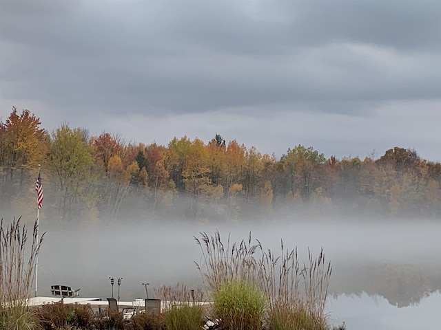 water view featuring a heavily wooded area