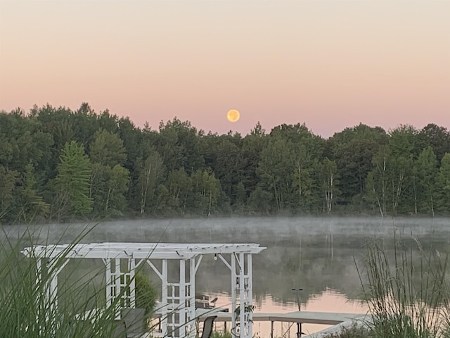 dock featuring a wooded view