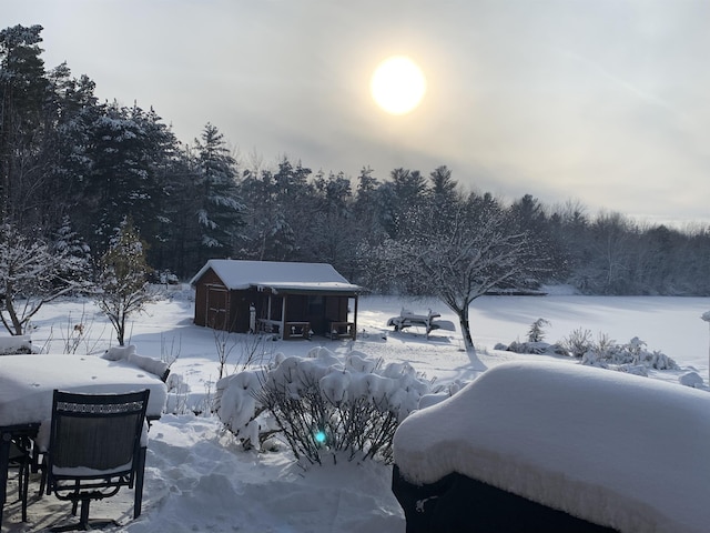 yard covered in snow featuring a view of trees
