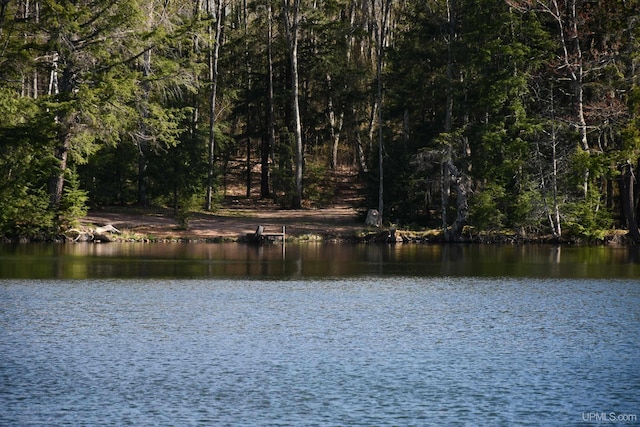 1484 S Shag Lakes Rd, Gwinn, MI 49841