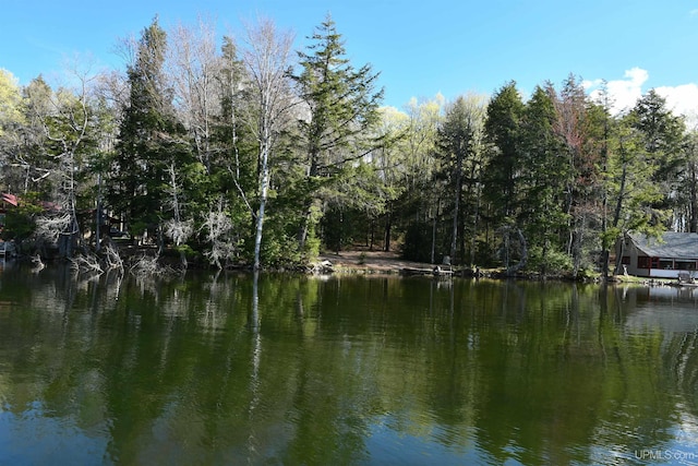 1484 S Shag Lakes Rd, Gwinn, MI 49841