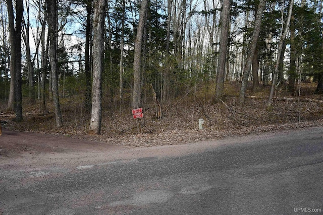 1484 S Shag Lakes Rd, Gwinn, MI 49841