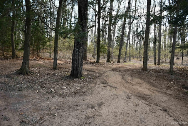 1484 S Shag Lakes Rd, Gwinn, MI 49841