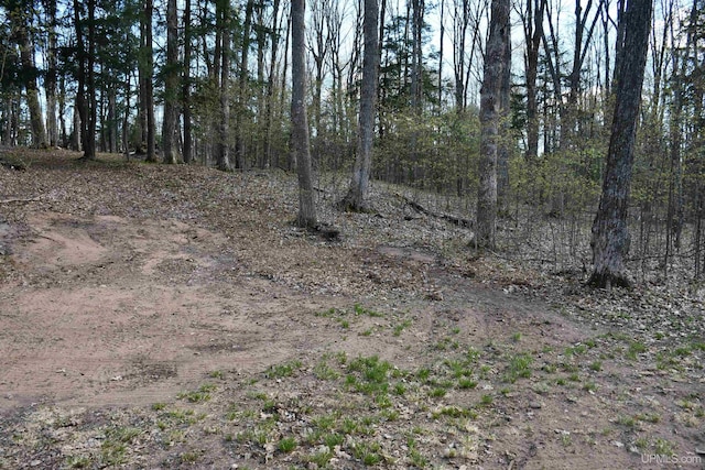 1484 S Shag Lakes Rd, Gwinn, MI 49841