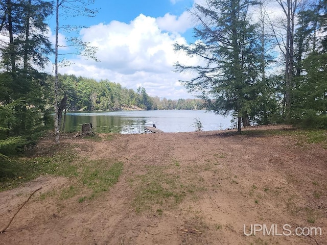 1484 S Shag Lakes Rd, Gwinn, MI 49841