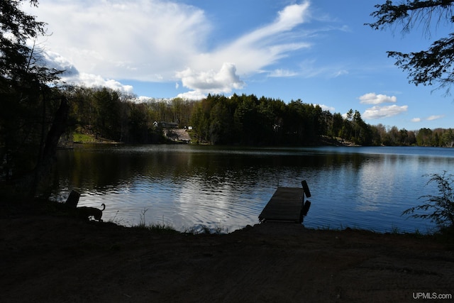 1484 S Shag Lakes Rd, Gwinn, MI 49841