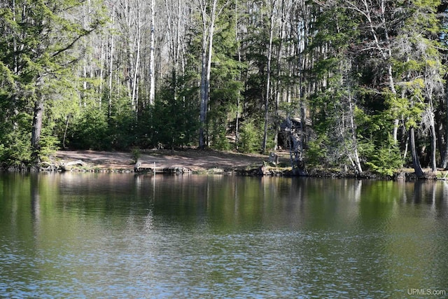1484 S Shag Lakes Rd, Gwinn, MI 49841