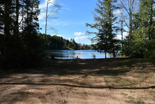 1484 S Shag Lakes Rd, Gwinn, MI 49841