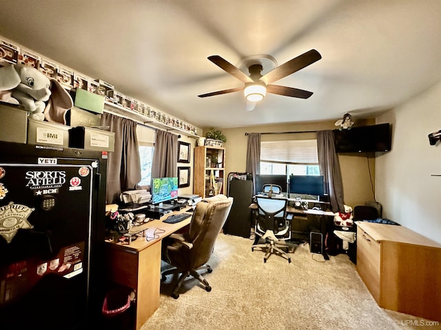 39 Stonegate Hts, Marquette, MI 49855 - home office featuring carpet flooring, ceiling fan, and plenty of natural light