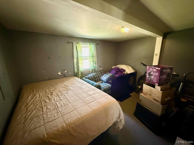 8741 0.8 Ln, Gladstone, MI 49837 - bedroom featuring carpet floors