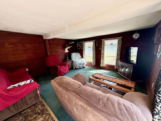 8741 0.8 Ln, Gladstone, MI 49837 - living area with wooden walls