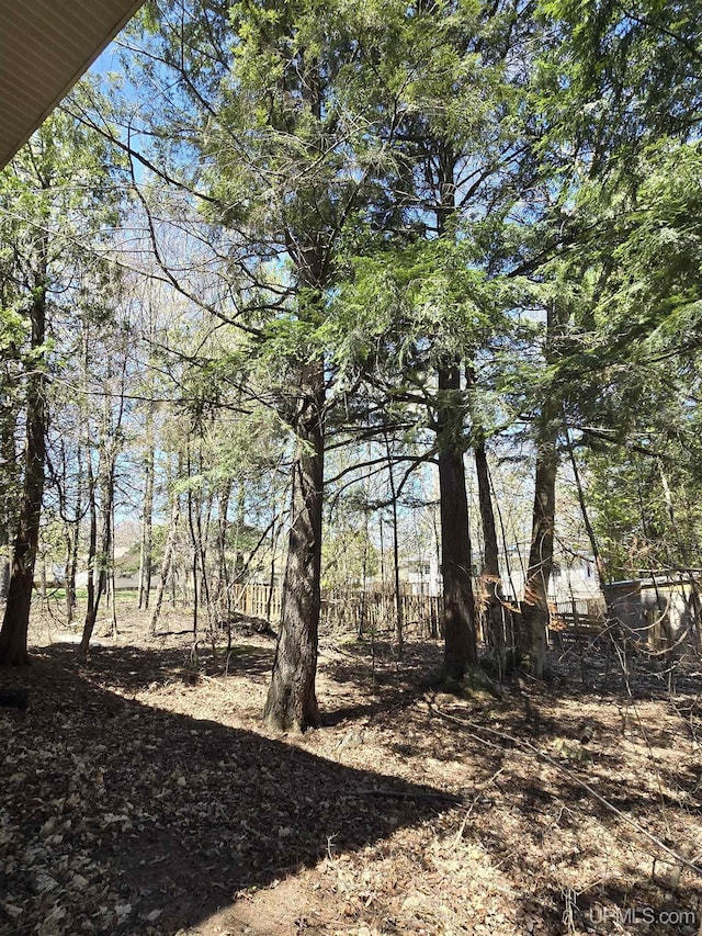 1604 Mildred Ave, Marquette, MI 49855 - view of local wilderness