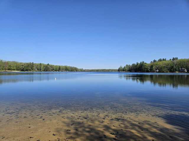5440 Custer Dr, Harrison, MI 48625 - water view