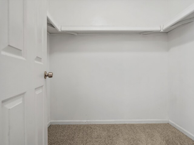 55374 Raspberry Dr, Macomb Twp, MI 48042 - walk in closet featuring carpet