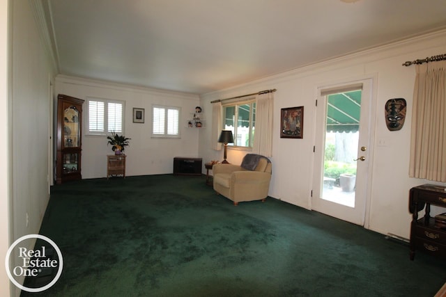 living area featuring ornamental molding and carpet flooring
