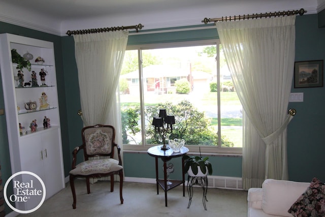 sitting room featuring carpet