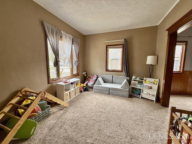 624 S 16th St, Escanaba, MI 49829 - game room featuring carpet floors, a textured ceiling, and crown molding