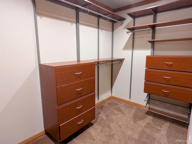 1002 Allouez Rd, Marquette, MI 49855 - spacious closet with carpet floors