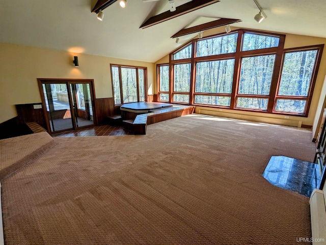 1002 Allouez Rd, Marquette, MI 49855 - recreation room featuring rail lighting, carpet flooring, and pool table