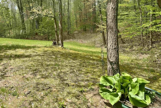 view of yard featuring a wooded view