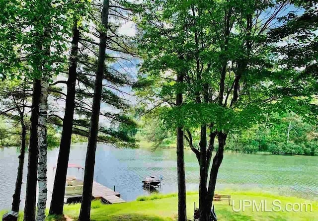 382 S Shore Dr, Crystal Falls, MI 49920 - water view featuring a dock