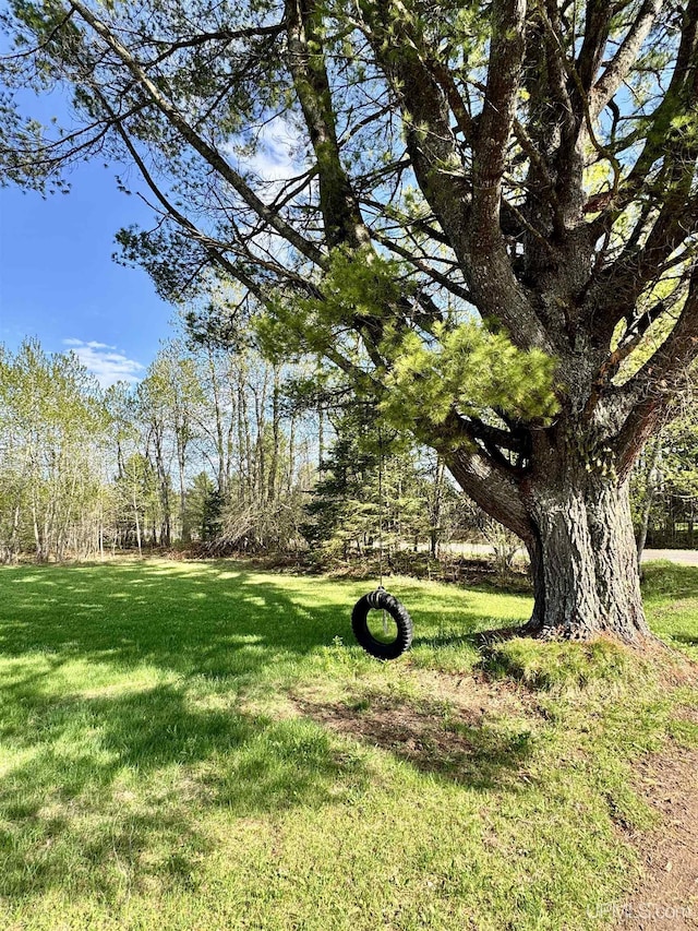 18020 Lake Rd, Pelkie, MI 49958 - view of grassy yard