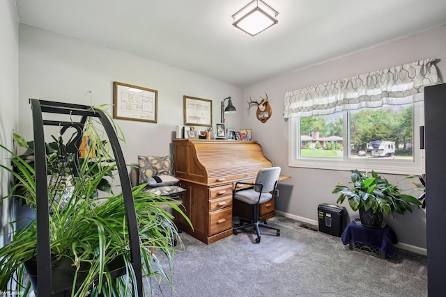 11770 Lennry Rd, Shelby Twp, MI 48315 - carpeted home office with baseboards