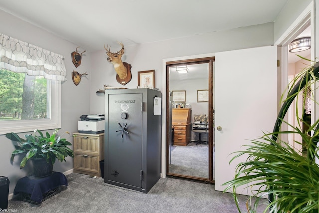 11770 Lennry Rd, Shelby Twp, MI 48315 - office featuring carpet floors