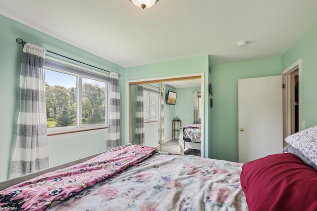 11770 Lennry Rd, Shelby Twp, MI 48315 - bedroom featuring a closet