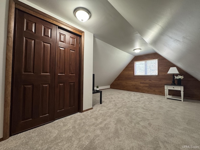 102 Forest Dr, Norway, MI 49870 - bonus room with carpet floors, wood walls, and lofted ceiling