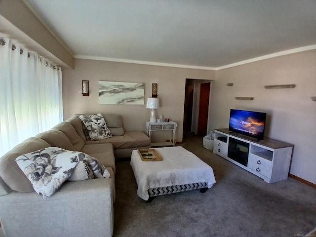 carpeted living area featuring ornamental molding and baseboards